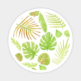 Watercolor Tropical Plants Magnet